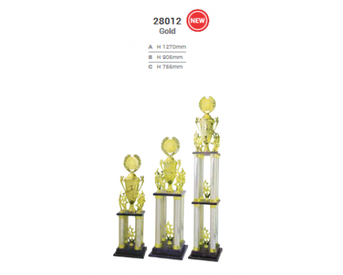 Challenge Cup/Trophy
