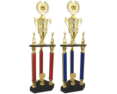 Challenge Cup/Trophy