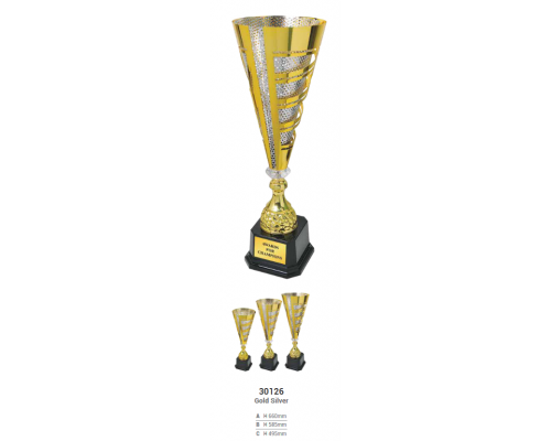 Challenge Cup/Trophy