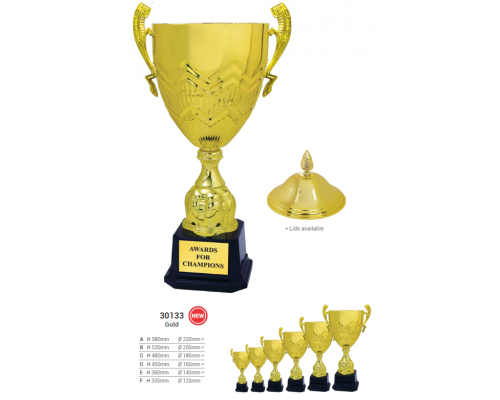 Metal Cup