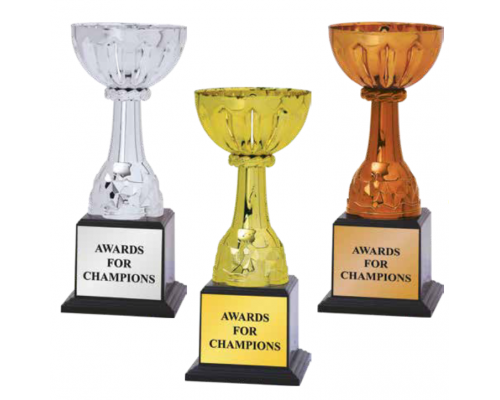 Metal Cup